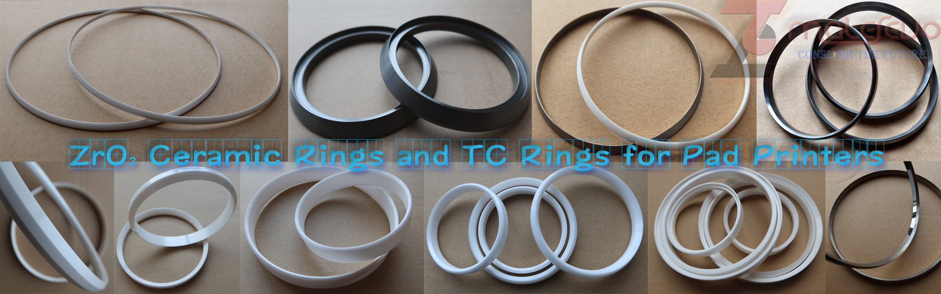 Ceramic ring, tungsten carbide ring for pad printe